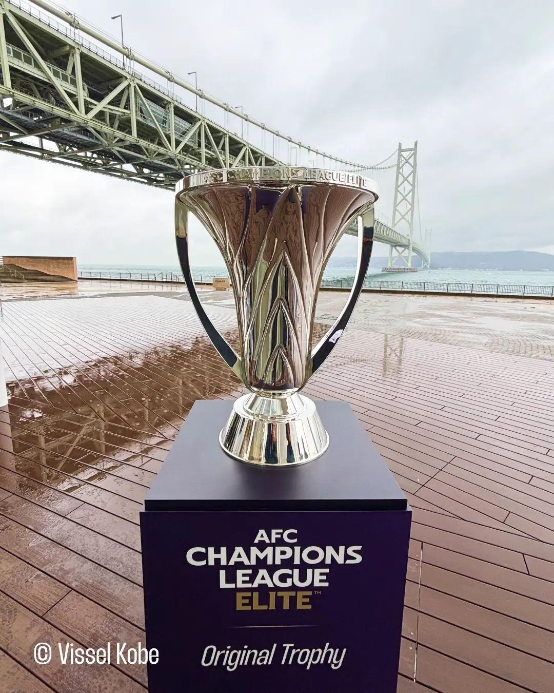 星空体育入口-罗马尼亚选手闪耀赛场，夺取桂冠